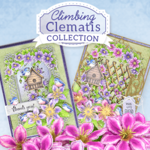 Climbing Clematis (Jun 2021)